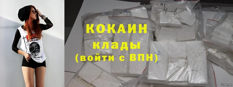 где купить наркоту  Рубцовск  Cocaine Fish Scale 